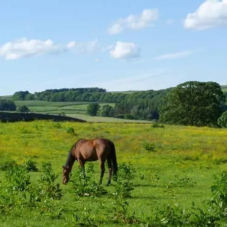 Дом отдыха The Round House Лейберн