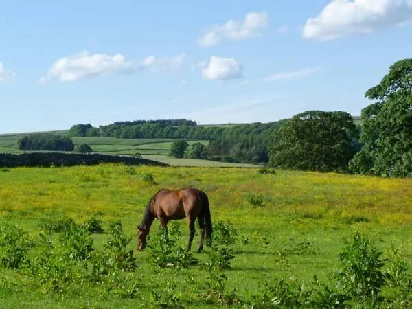 Holiday home The Round House Leyburn